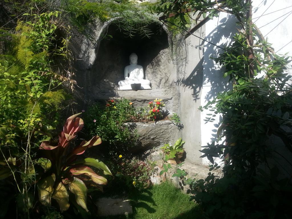 Aaranya Residence كاندي المظهر الخارجي الصورة